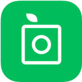 We did not find results for: Plantsnap Plant Identification App Review