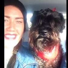 Caroline Gustafsson (@BeppoGustafsson)