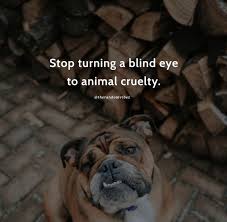 It is much easier to show compassion to animals. 70 Animal Abuse Quotes And Sayings To Stop Animal Cruelty