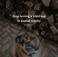 Sometimes those who seek to outlaw use of animals in research argue that testing new treatments do not think that the only value coming from studies utilizing animals is development of cures or. 70 Animal Abuse Quotes And Sayings To Stop Animal Cruelty