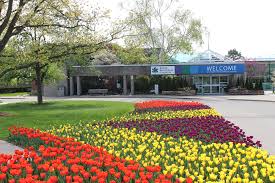 Garden flowers for sale canada. Home Royal Botanical Gardens