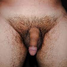 File:Asian penis with pubic hair.jpg - Wikimedia Commons