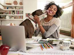 How To Start An Online Pet Store