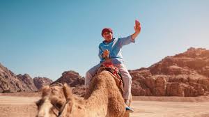 Desert exploration in a 4x4 suv. Book Fossil Safari Dubai Sandboarding Camel And Camp Dotravel