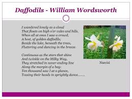 Here you will find the poem daffodils of poet william wordsworth. Ppt Daffodils William Wordsworth Powerpoint Presentation Free Download Id 2614738