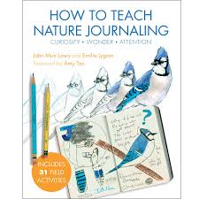 Celebrate independence with fourth of july printables. How To Teach Nature Journaling Print And Free Pdf Download John Muir Laws