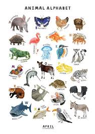 Beautiful A2 Illustrated Animal Alphabet Poster Illustrated By April Each Animal Has Been Carefully Hand Animal Illustration Animal Alphabet Alphabet Poster