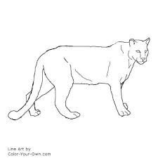 Finding activities for kids and parents can be really easy or be really difficult. Pin On Cougars