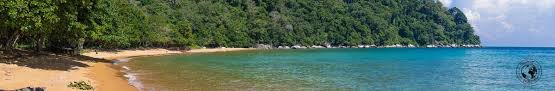 You can take a public boat for 70myr / £13 there are three areas where people usually stay on tioman, and where you stay depends on what kind of holiday you want to have. Cheeky Passports What To Do In Tioman Island Beaches Monkeys And Jungle Treks