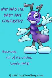 Why can't eggs tell jokes? Jokes For Kids To Tell Adults Jokes Mania