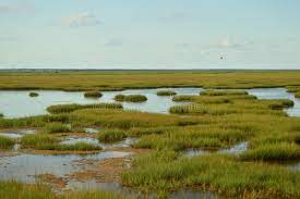 The jersey landscaping team has been helping clients for more than 40 years. 11 165 Jersey Landscape Photos Free Royalty Free Stock Photos From Dreamstime