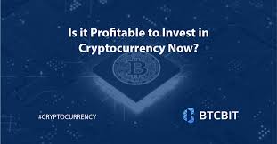 When investing in cryptocurrency, consider the role it will play in your portfolio. Is It Profitable To Invest In Cryptocurrency Now Btcbit Net