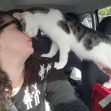 We did not find results for: Diselamatkan Kucing Ini Tak Berhenti Mencium Pemilik Barunya Lifestyle Fimela Com