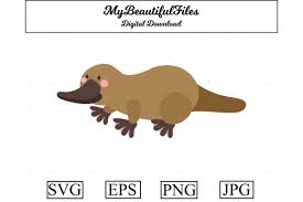 It is absolutely not required, but if you like this website, any mention of or link back is highly appreciated. Platypus Cute Clipart Graphic By Mybeautifulfiles Creative Fabrica