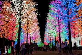 Icity Trees Of Light Christmas Lights Beautiful Christmas Holiday Lights