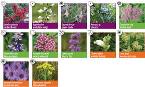 We did not find results for: Rain Gardens City Of Guelph