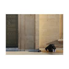 The application schedule of the prayer of the city of rabat salé today was designed to use simple, effective and daily in order to be informed of prayer time accurate of rabat salé and its regions. Temps De Priere Rabat