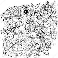 Libro Para Colorear Para Adultos Tucan Entre Flores Y Hojas Tropicales Pagina Para Colorear Para Relax Y Bird Coloring Pages Coloring Books Mandala Coloring