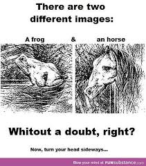 Just A Frog And A Horse Oh Wait Funsubstance Funny Illusions Funny Mind Tricks Cool Illusions
