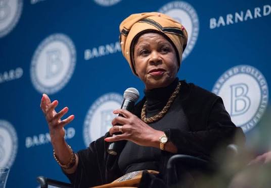 Mamphela Ramphele unhappy over downgrading of Steve Biko in matric history syllabus | News24