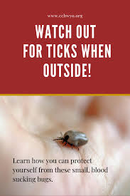 Watch Out For Ticks In 2020 Ticks Outdoor Protection Tick Fever
