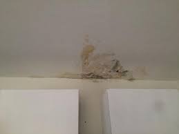 Rostfrei kupfer abfluss stock haixng abfluss boden b07c28zy1k. Schimmel In Badezimmer Und Kuche Was Sollen Wir Machen Mietminderung