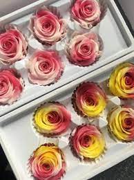 Yunnan blossomingflora flower company specialized in preserved flower (rose,hydrangea,carnation,lily,etc). Wholesale Grade A Preserved Enchanted Real Everlasting Forever Roses Flowers Luxury Gift Id 10735928 Buy China Preserved Roses Enchanted Roses Forever Roses Ec21
