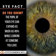 Eyefact Eyevision Pupil Healthyeyes Eyetrivia Eye Facts Eye Care Eye Care Center