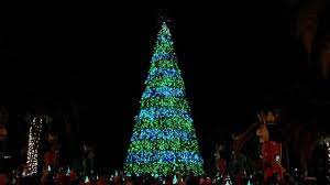 367 homes for sale in clermont, fl. Watch News 6 Presents 2020 Lake Eola Tree Lighting Ceremony