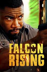 Falcon Rising