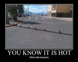 It's safe to say that memes have taken over the internet, and they continue to evolv. It S 107 And Tucson Is On A Heat Wave Warning Should Be About 113 Within The Next Week Home Sweet Home Demotivational Posters Funny Pictures What S So Funny