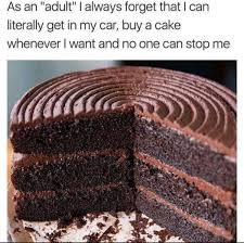 Memes On Twitter Nothing Will Hold Me Back