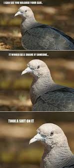 Pin On Funny Stuff