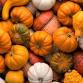 Frankfort Fall Festival Craft Fair