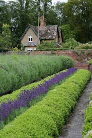 Garden Designs Ideas 2018 Lavender Garden Blenheim Palace Woodstock Oxfordshire Lavendeltuin Buxus Tuin Tuin