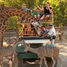 Maybe you would like to learn more about one of these? Safari West Wildlife Preserve African Tent Camp National Parks Trip Wildlife Preserve National Parks