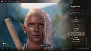 Wood Half-Elf Cleric Character Build and Story