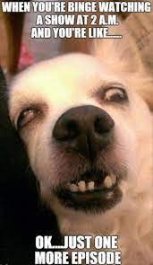 Bu ani oh bu ani. 21 Ide Meme Joke Meme Lucu Lucu Meme