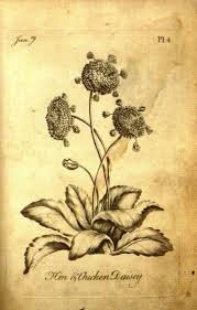 Printable adult engraving vanvitelli latium 18th century coloring page you can now print this beautiful adult engraving vanvitelli latium 18th century coloring page or color online for free. Unexpected Discovery Reveals 18th Century Adult Coloring Book Pages