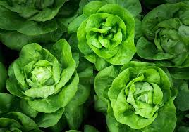 Does everything really have to be organic in order to be good for your baby? Is Organic Really Better 4 Food Myths Debunked By Science