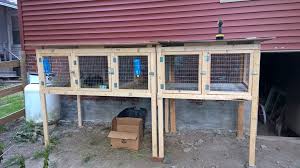 Custom pallet rabbit house, is all perfect also to use as a poultry farm so that you chicken or rabbits can flourish well inside without any danger of predators! 8 Completely Free Diy Rabbit Hutch Plans