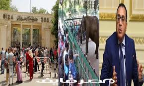 رسميا رفع سعر تذكرة حديقة الحيوان الثلاثاء