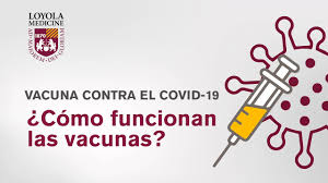 Mostrar reporte a la fecha. La Vacuna Contra El Covid 19 Como Funciona Youtube