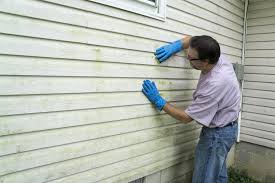 If your siding is in need of repair, this section will show you how to remove damaged shingles and attach new ones. How To Refresh Fading Siding Modernize