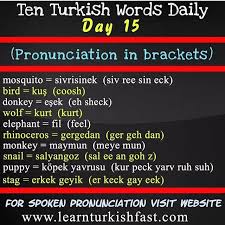 Learn Turkish Fast On Instagram Learn Turkish Fast Day 15 Animals In Turkish Turkish Animals Learn Turkish Fast With Ten Turkish Words Everyday Turkish I 2020