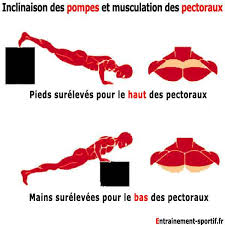 Faire des pompes est l'exercice de base le plus simple pour les pectoraux : 13 Pompes En Musculation Pour Renforcer Bras Et Pectoraux