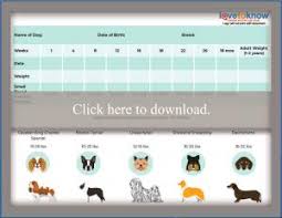 Printable Puppy Weight Charts Lovetoknow