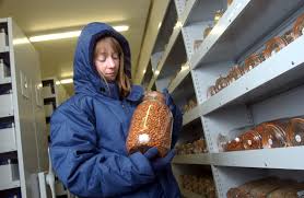 Get premium, high resolution news photos at getty images Alain Elkann Interviews Kew Royal Botanic Gardens Director Richard Deverell
