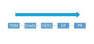 breast cancer staging wikidoc