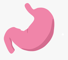 Transparent Stomach Pain Clipart Transparent Background Stomach Png Free Transparent Clipart Clipartkey Great funny comedy background music for videos. transparent stomach pain clipart